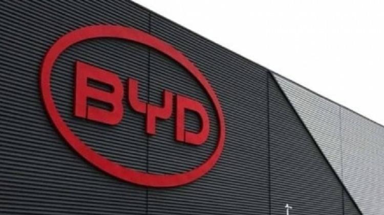 <p><span style="color:#B22222"><strong>BYD</strong></span></p>
