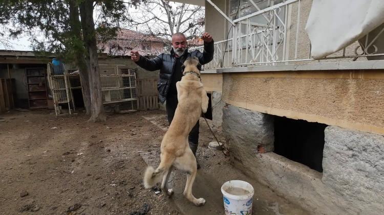 <p><span style="color:#B22222"><strong>"Kendi işimi severek yapıyorum"</strong></span></p>

<p><br />
K&ouml;yde kendi işini yapmanın hem maddi hem manevi olarak daha kazan&ccedil;lı olduğunu vurgulayan Şahan, <em><strong>"İstanbul&rsquo;da ya da Ankara&rsquo;da asgari &uuml;cretle &ccedil;alışmak yerine burada kendi işimi yapıyorum. Severek &ccedil;alışıyorum ve g&uuml;zel ekmek yiyebiliyoruz. İnsanların da bu işi yapmasını istiyorum, teşvik ediyorum"</strong></em> dedi.</p>
