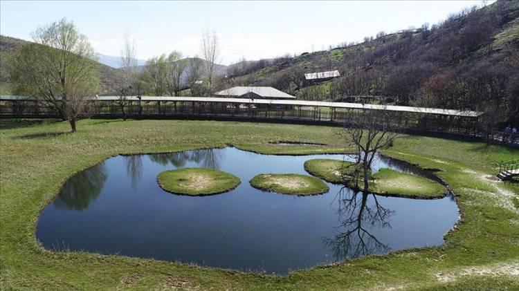 <p><span style="color:#B22222"><strong>2- Bing&ouml;l: </strong></span></p>

<p>&nbsp;</p>

<p>25 bin 617 TL/m2 (%59,39)</p>
