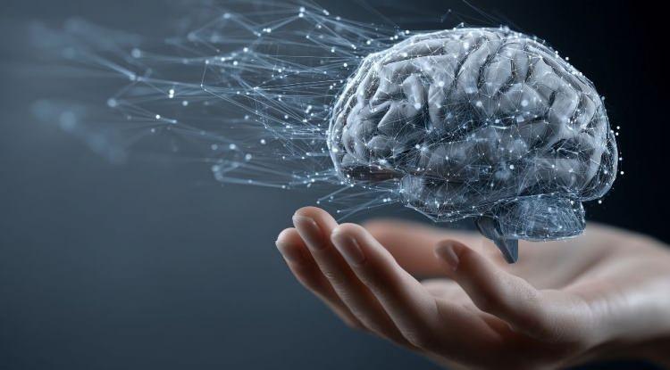 <p><strong>Beyin sağlığını korumak ve bilişsel fonksiyonları en üst seviyede tutmak için zihinsel egzersizlerin faydası yadsınamaz. Ancak nörolog uzmanları ve sinirbilimciler bu noktada günlük beslenme alışkanlıklarımızın da temel bir rolü olduğuna dikkat çekiyor.</strong></p>
