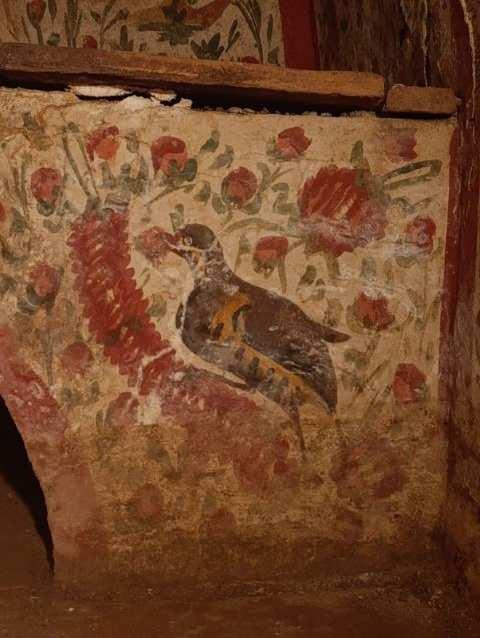 <p><strong>Bu yıl ger&ccedil;ekleştirilen kazı sezonunda a&ccedil;ığa &ccedil;ıkarılan hipogee mezar ise freskleriyle ilgi odağı haline geldi. Batı, doğu ve kuzey duvarları neredeyse tamamen sağlam olan mezarın, g&uuml;ney duvarının b&uuml;y&uuml;k &ouml;l&ccedil;&uuml;de tahrip olduğu g&ouml;r&uuml;ld&uuml;. Bu duvarlarda yer alan insan fig&uuml;rleri ise, b&ouml;lgede yer alan diğer mezarlara g&ouml;re farklılık g&ouml;steriyor.</strong></p>
