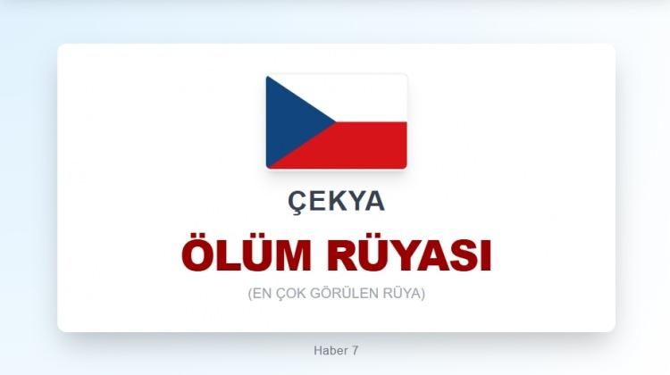 <p><span style="color:#B22222"><strong>&Ccedil;EKYA</strong></span></p>
