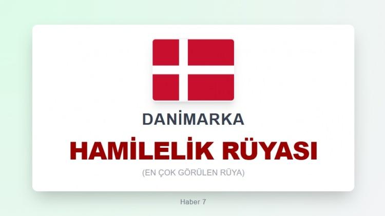 <p><span style="color:#B22222"><strong>DANİMARKA</strong></span></p>
