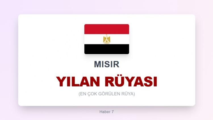 <p><span style="color:#B22222"><strong>MISIR</strong></span></p>
