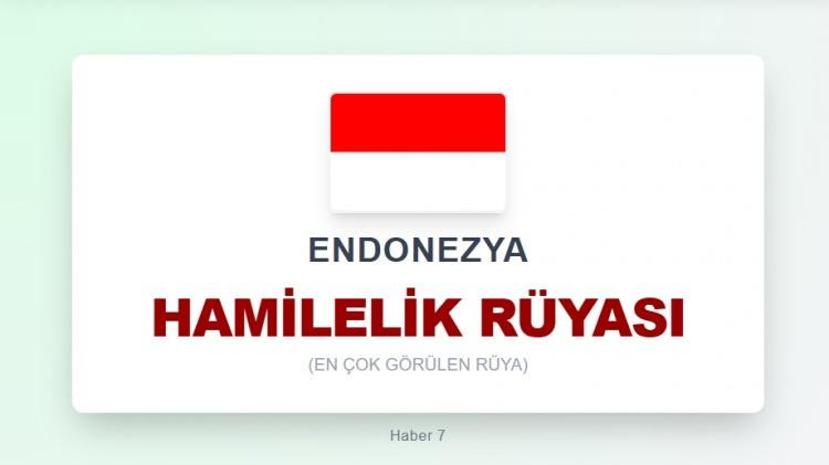 <p><span style="color:#B22222"><strong>ENDONEZYA</strong></span></p>
