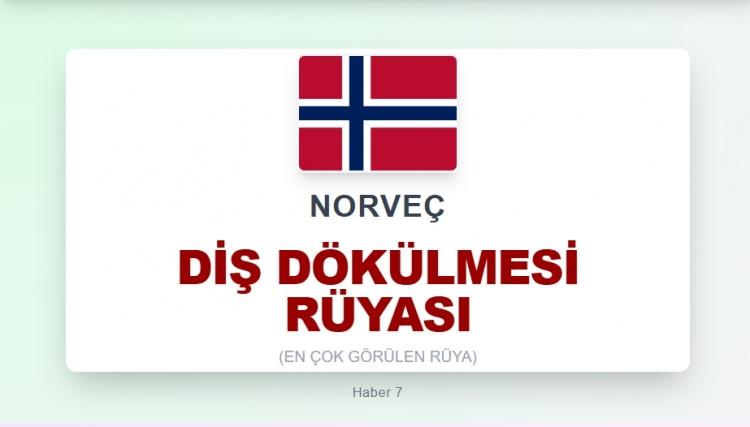 <p><span style="color:#B22222"><strong>NORVE&Ccedil;</strong></span></p>
