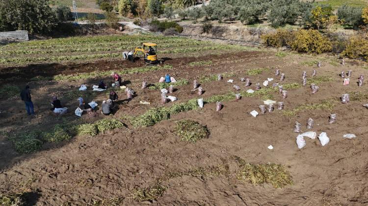 <p>T&uuml;rkiye'nin bereketli topraklarının yer aldığı Hatay&rsquo;da &ccedil;ift&ccedil;iler, toprağı işleyerek asrın felaketinin saralarını sarmaya devam ediyor.&nbsp;</p>
