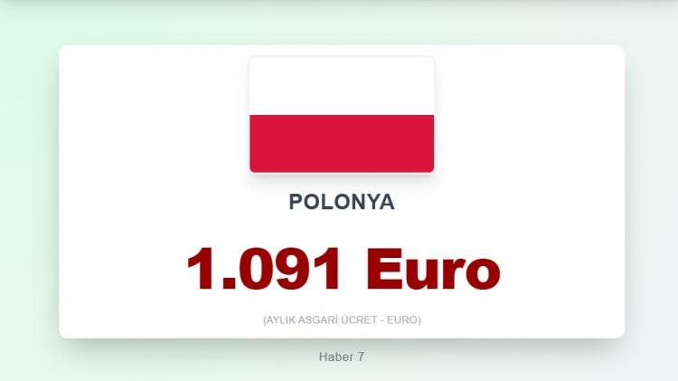 <p><span style="color:#B22222"><strong>9)&nbsp; POLONYA</strong></span></p>
