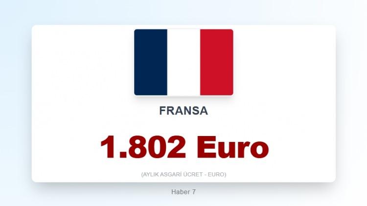 <p><span style="color:#B22222"><strong>6)&nbsp; FRANSA</strong></span></p>
