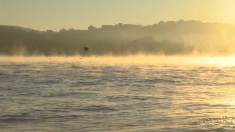 <p>İstanbul Boğazı'nda sabah saatlerinde deniz y&uuml;zeyinden y&uuml;kselen buhar, ilgin&ccedil; bir manzaraya neden oldu. Boğaz'dan ge&ccedil;en gemilerin &ouml;n&uuml;nde yunuslar g&ouml;r&uuml;ld&uuml;.</p>

<p>&nbsp;</p>
