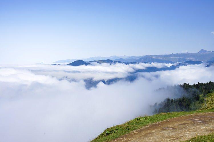 <p><strong>ORTA ve DOĞU KARADENİZ</strong><br />
Par&ccedil;alı ve &ccedil;ok bulutlu ge&ccedil;eceği tahmin ediliyor. Gece ve sabah saatlerinde i&ccedil; kesimlerinde buzlanma ve don ile birlikte pus, yer yer sis bekleniyor.</p>

<p>AMASYA 0&deg;C, 10&deg;C<br />
Par&ccedil;alı ve &ccedil;ok bulutlu</p>

<p>RİZE 5&deg;C, 12&deg;C<br />
Par&ccedil;alı ve &ccedil;ok bulutlu</p>

<p>SAMSUN 4&deg;C, 15&deg;C<br />
Par&ccedil;alı ve &ccedil;ok bulutlu</p>

<p>TRABZON 6&deg;C, 12&deg;C<br />
Par&ccedil;alı ve &ccedil;ok bulutlu</p>
