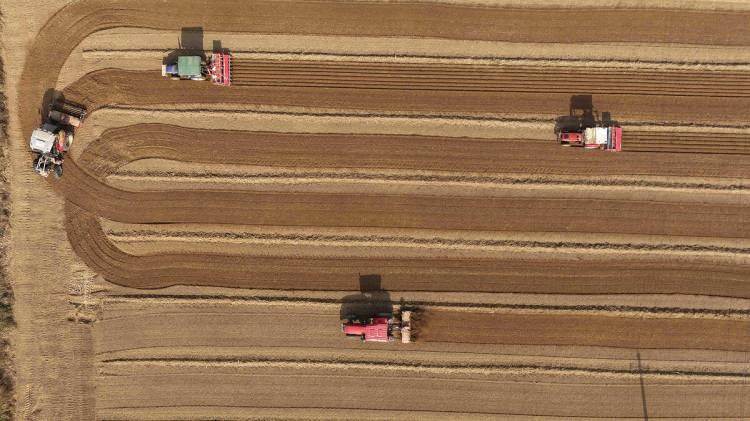 <p>T&uuml;rkiye gazetesinde yer alan Endeksa verilerine g&ouml;re iller bazında bakıldığında ise (&ouml;l&ccedil;&uuml;m yapılabilen şehirler arasında) yıllık bazda arazi fiyatlarının en &ccedil;ok y&uuml;kseldiği b&ouml;lgeler, bu illerde ortalama metrekare satış fiyatları ve yıllık değer artışları ş&ouml;yle sıralanıyor:</p>

<p>&nbsp;</p>
