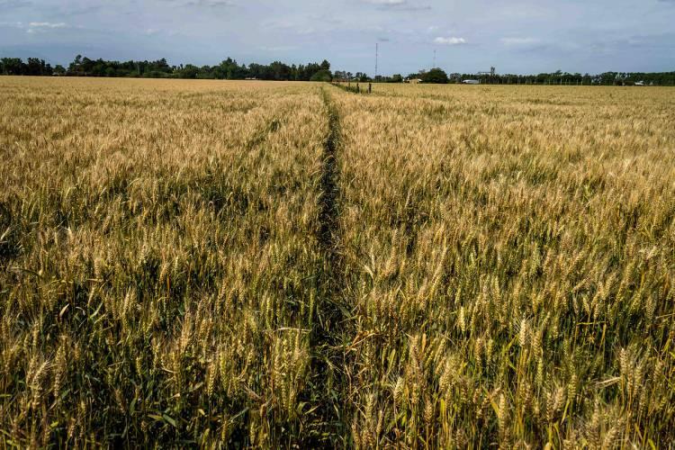 <p><strong><span style="color:#B22222">1-Hakk&acirc;ri:</span> 1.994 TL/m2 TL (%111,23)</strong></p>

<p>&nbsp;</p>

<p><strong><span style="color:#B22222">2-Bing&ouml;l:</span> 771 TL/m2 TL (%87,59)</strong></p>
