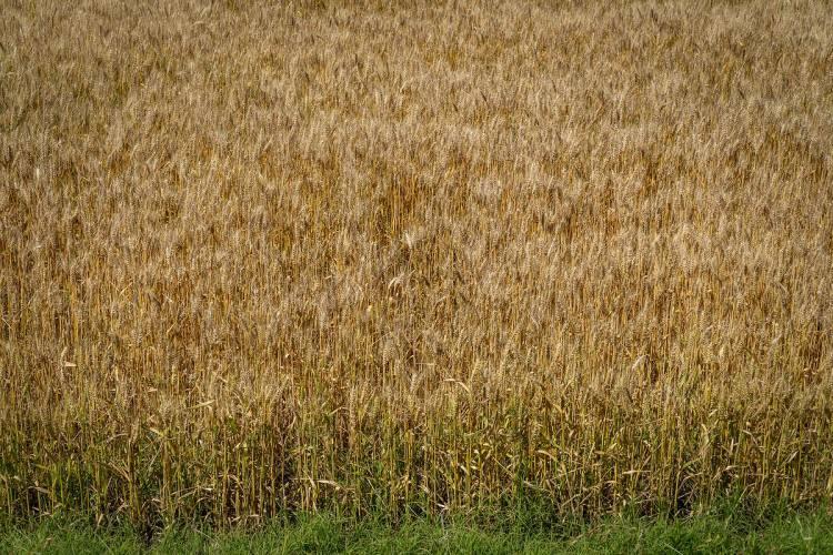 <p><strong><span style="color:#B22222">3-Diyarbakır:</span> 1.354 TL/m2 TL (%53,51)</strong></p>

<p>&nbsp;</p>

<p><strong><span style="color:#B22222">4-Uşak</span>: 174 TL/m2 TL (%34,88)</strong></p>
