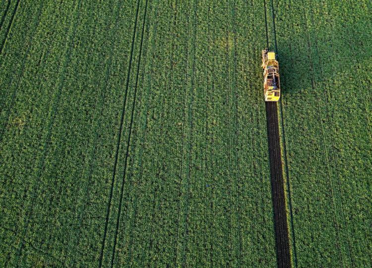 <p><strong><span style="color:#B22222">5-El&acirc;zığ:</span> 653 TL/m2 TL (%29,56)</strong></p>

<p>&nbsp;</p>

<p><strong><span style="color:#B22222">6-Nevşehir:</span> 353 TL/m2 TL (%28,83)</strong></p>
