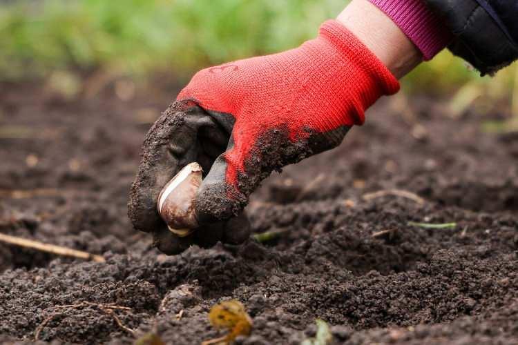 <p><strong>9-<span style="color:#B22222">İstanbul:</span> 2.787 TL/m2 TL (%26,28)</strong></p>

<p>&nbsp;</p>

<p><strong><span style="color:#B22222">10-Tunceli:</span> 848 TL/m2 TL (%26,00)</strong></p>
