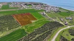 <p>Ayrıca son yıllarda T&uuml;rkiye ortalamasının altında kalan Doğu ve G&uuml;neydoğu Anadolu illerinin, bu yıl arayı kapatarak bir d&uuml;zeltme yaptığı da ifade ediliyor.</p>
