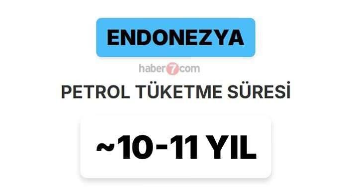 <p><span style="color:inherit"><span style="color:rgb(178, 34, 34)"><strong>14)&nbsp; ENDONEZYA</strong></span></span></p>

<p>&nbsp;</p>
