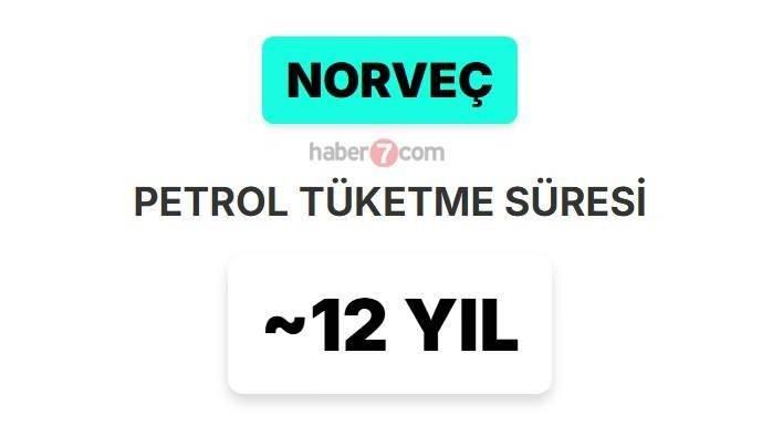 <p><span style="color:inherit"><span style="color:rgb(178, 34, 34)"><strong>11)&nbsp; NORVE&Ccedil;</strong></span></span></p>

<p>&nbsp;</p>
