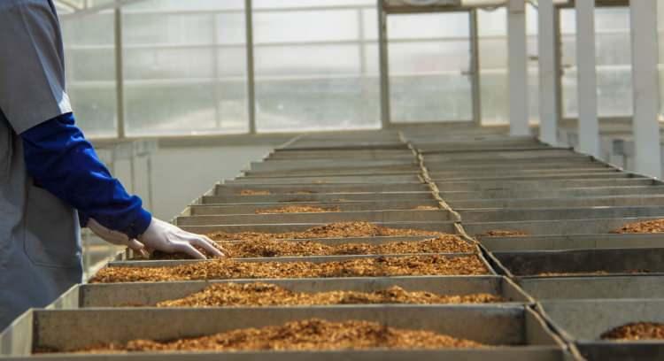 <p><span style="color:#B22222"><strong>5 - Amber Tobacco T&uuml;t&uuml;n Mam&uuml;lleri Sanayi ve Ticaret AŞ.:&nbsp;</strong></span></p>

<p>&nbsp;</p>

<p>902 milyon TL</p>

<p>&nbsp;</p>
