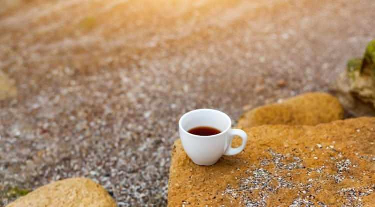 <p><strong>Uzun yıllardır kafein t&uuml;ketiminin cilt sağlığına etkisini araştıran Dr. Kawasumi, y&uuml;r&uuml;tt&uuml;ğ&uuml; &ccedil;alışmalarda kafeinin &ouml;zellikle g&uuml;neş ışığıyla etkileşime girdiğinde deri kanserine karşı g&uuml;&ccedil;l&uuml; bir koruma sağladığını dile getirdi.</strong></p>
