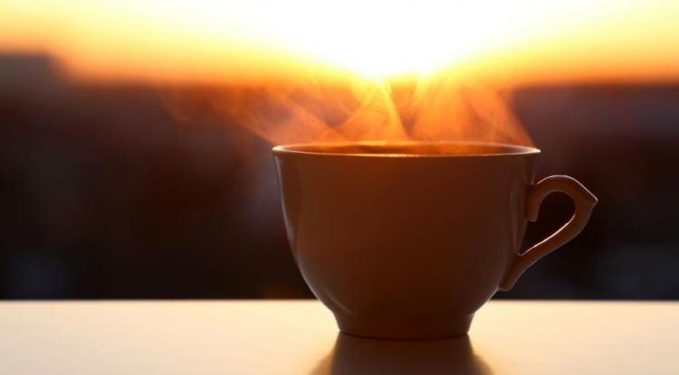 <p><span style="color:#FF0000"><strong>"KAFEİN DOĞRU ZAMANDA KORUYUCU TEDBİR"</strong></span></p>

<p><strong>"Kahve i&ccedil;mek sadece keyif değil; doğru zamanda i&ccedil;ildiğinde bir koruyucu tedbir." diyen uzman isim, "Koruyucu etkisi &ouml;zellikle g&uuml;neş ışınlarıyla ortaya &ccedil;ıkan kahveyi sahilde t&uuml;ketmek &ccedil;ok faydalı. G&uuml;neş altında i&ccedil;ilen kahve, v&uuml;cudu kansere karşı koruyabiliyor. Hayvan deneylerinde her bir fincan kahvenin, deri kanseri riskini %5 azalttığını tespit ettik" şeklinde &ccedil;arpıcı bilgiler paylaştı.</strong></p>
