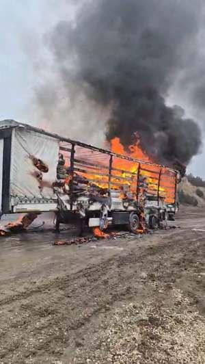 <p>Bolu&rsquo;da &ccedil;&ouml;p boşaltma alanına gelen kağıt y&uuml;kl&uuml; tırın dorsesinin alev alev yandığı anlar cep telefonu kamerasına yansıdı. Yangında ara&ccedil; kullanılamaz hale geldi.</p>

<p>&nbsp;</p>
