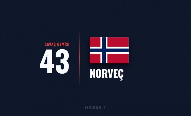 <p><span style="color:#B22222"><strong>NORVE&Ccedil;</strong></span></p>
