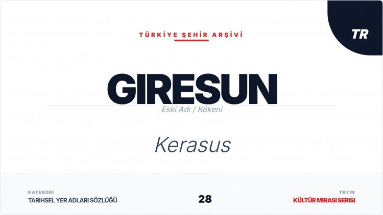 <p><strong>GİRESUN</strong></p>
