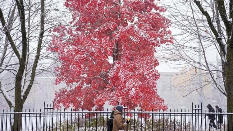 <p>Amasya</p>

<p>&nbsp;</p>

<p>Tokat</p>

<p>Sivas</p>
