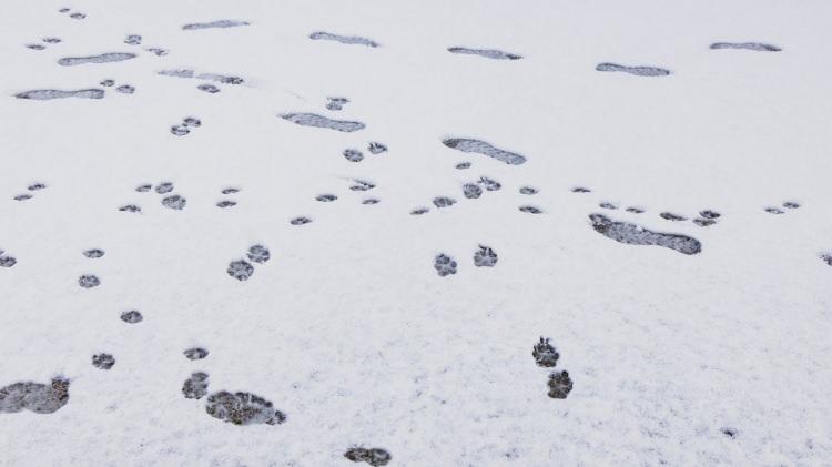 <p>G&uuml;m&uuml;şhane</p>

<p>Bayburt</p>

<p>Erzincan</p>
