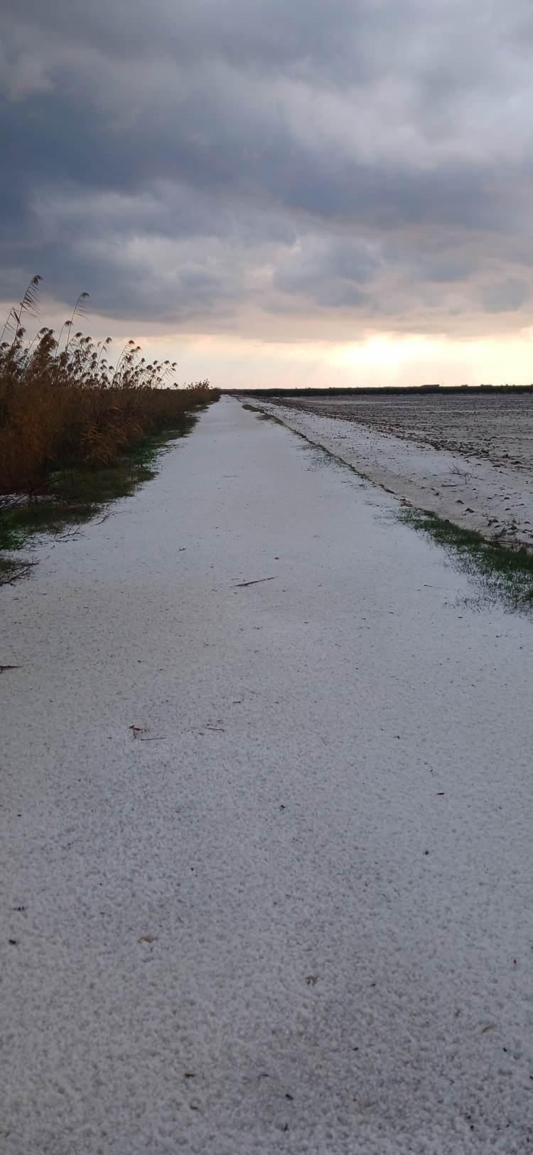 <p>Adana&rsquo;nın Karataş il&ccedil;esinde aniden bastıran dolu yağışı yolları ve tarlaları beyaza b&uuml;r&uuml;d&uuml;.&nbsp;</p>
