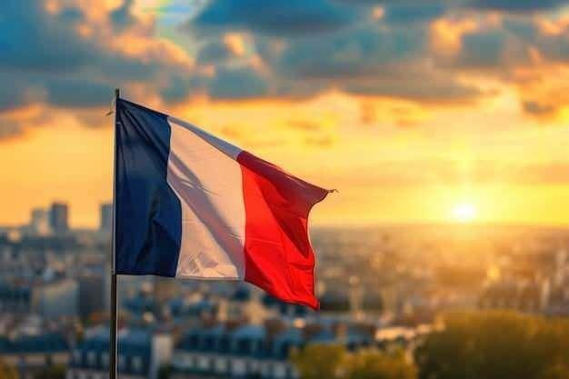 <p><span style="color:#B22222"><strong>6)&nbsp; FRANSA</strong></span></p>
