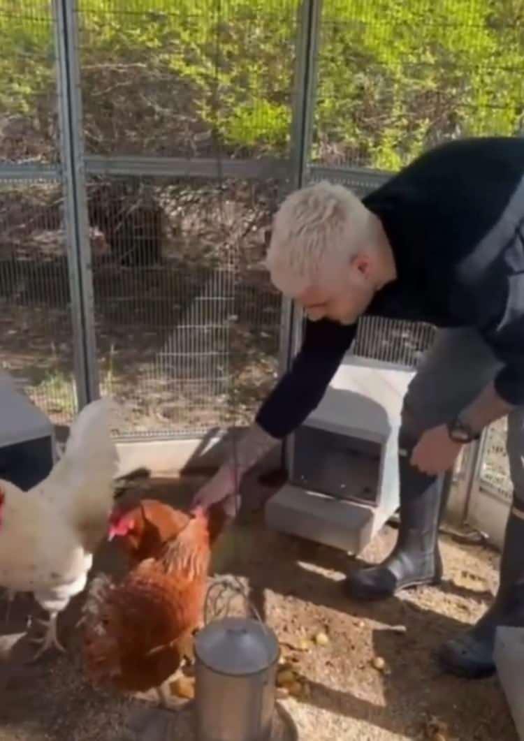 <p><strong>Kapalı kapılar ardında mutlu bayramlar ge&ccedil;ir; tavuklar bile seni kurtaramayacak."</strong></p>
