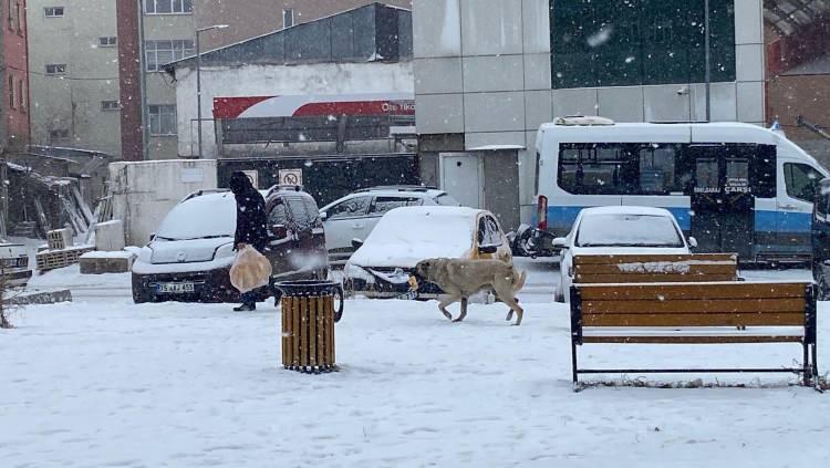 <p><span style="color:#B22222"><strong>KARS</strong></span></p>

<p>KARS Valiliği, olumsuz hava koşulları ve buzlanma tehlikesi sebebiyle eğitim &ouml;ğretime yarın 1 g&uuml;nl&uuml;ğ&uuml;ne ara verildiğini bildirdi. Kamuda &ccedil;alışan hamile, engelli ve kronik hastalığı olanlar da bir g&uuml;n izinli sayılacak.</p>

<p>Kars Valiliği, Meteoroloji Genel M&uuml;d&uuml;rl&uuml;ğ&uuml; tarafından yapılan son değerlendirmelere g&ouml;re il genelinde olumsuz hava koşullarının devam edeceği ve buzlanma tehlikesinin devam edeceğini bildirdi. Valilik a&ccedil;ıklamasında, &ldquo;2 Ocak Cuma g&uuml;n&uuml; ilimiz genelinde resmi ve &ouml;zel t&uuml;m &ouml;rg&uuml;n ve yaygın eğitim kurumlarında (rehabilitasyon merkezleri ve Kur&rsquo;an kursları dahil) eğitim &ouml;ğretime bir g&uuml;n ara verilmiştir. Kamu kurumlarında &ccedil;alışan hamile, engelli ve kronik hastalığı olan personel ile anaokulu ve kreşlere devam eden &ccedil;ocuğu bulunan kadın personellerimiz bir g&uuml;n idari izinli sayılacaktır&rdquo; denildi.&nbsp;</p>
