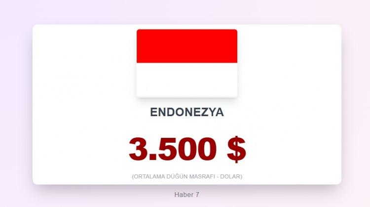 <p><span style="color:#B22222"><strong>27)&nbsp; ENDONEZYA</strong></span></p>
