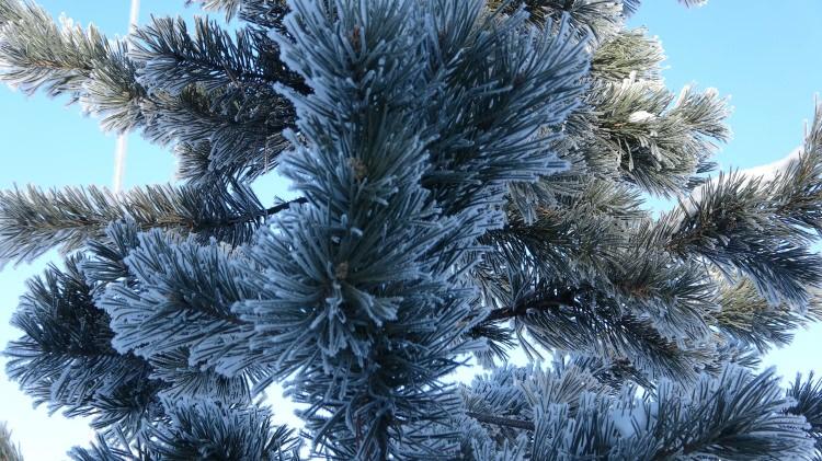 <p>G&ouml;le il&ccedil;esinde hava sıcaklığı sıfırın altında 39,7 derece olarak &ouml;l&ccedil;&uuml;lerek b&ouml;lge rekoru tazelendi.</p>
