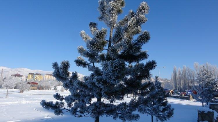 <p>Ardahanlı vatandaşlardan Yal&ccedil;ın Ko&ccedil; yaptığı a&ccedil;ıklamada, kentin resmen donduğunu ifade ederek, ş&ouml;yle konuştu:</p>
