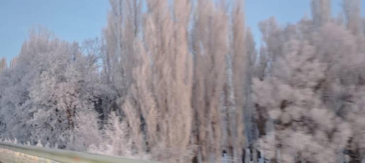 <p><strong><span style="color:rgb(178, 34, 34)">ERZURUM&rsquo;DA G&Ouml;RSEL Ş&Ouml;LEN VE SİBİRYA ETKİSİ</span></strong></p>

<p>Erzurum ve &ccedil;evresinde de benzer manzaralar kaydedildi.&nbsp;Aşkale il&ccedil;esinde termometreler eksi 30 dereceyi g&ouml;sterirken, &ccedil;atılarda metrelerce uzunlukta buz sarkıtları oluştu.</p>
