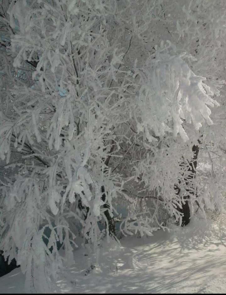 <p>Yetkililer ve Meteoroloji B&ouml;lge M&uuml;d&uuml;rl&uuml;kleri, dondurucu soğukların, buzlanma ve don olaylarının hafta sonuna kadar etkisini s&uuml;rd&uuml;receğini bildirerek; s&uuml;r&uuml;c&uuml;lerin zincirsiz yola &ccedil;ıkmaması ve vatandaşların zorunlu olmadık&ccedil;a dışarıda bulunmaması konusunda uyarılarda bulundu.</p>
