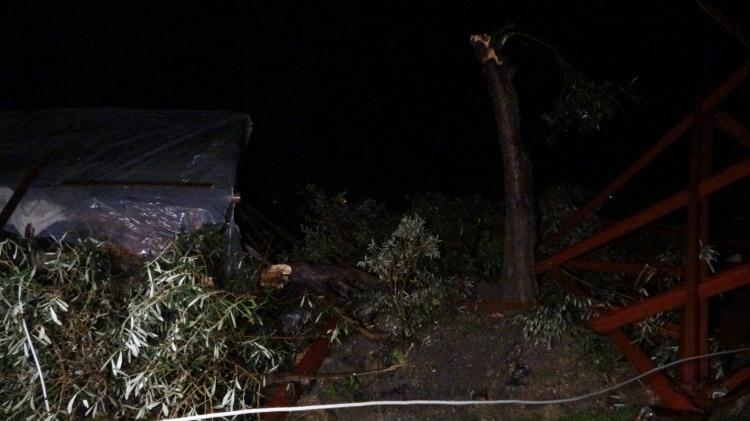 <p class="MsoNormal" style="tab-stops:75.75pt">Kaplan korku dolu anları, <strong>"Evimde otururken bir uğultuyla dışarı &ccedil;ıktım ve sesin hızla uzaklaştığını duydum. K&ouml;y i&ccedil;erisinde bazı evlerin &ccedil;atısı u&ccedil;tu. Aşağıda &ccedil;ok sayıda sera zarar g&ouml;rd&uuml;."</strong> ifadeleri ile anlattı.</p>
