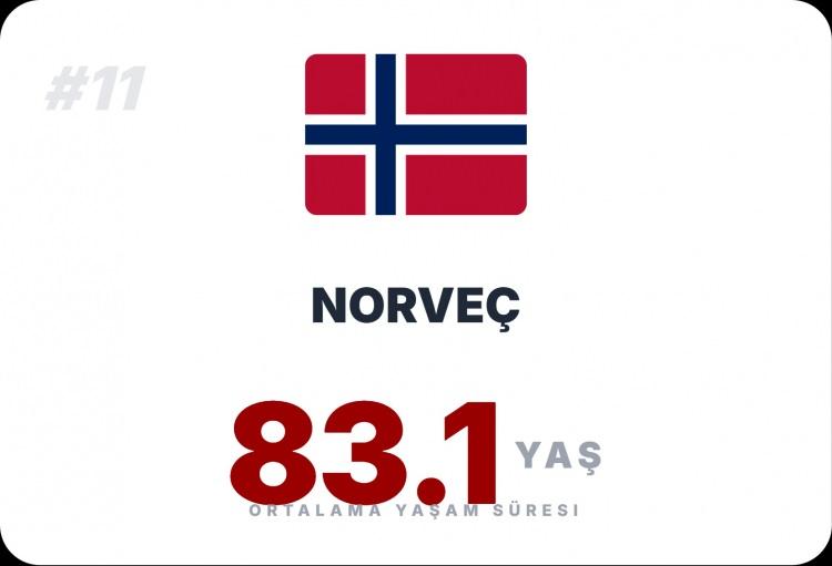 <p><span style="color:#B22222"><strong>NORVE&Ccedil;&nbsp;</strong></span></p>
