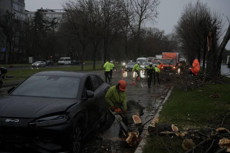<p>&nbsp;Etkili olan fırtına nedeniyle bir ağa&ccedil; yoldan ge&ccedil;en 4 aracın &uuml;zerine devrildi.&nbsp;</p>
