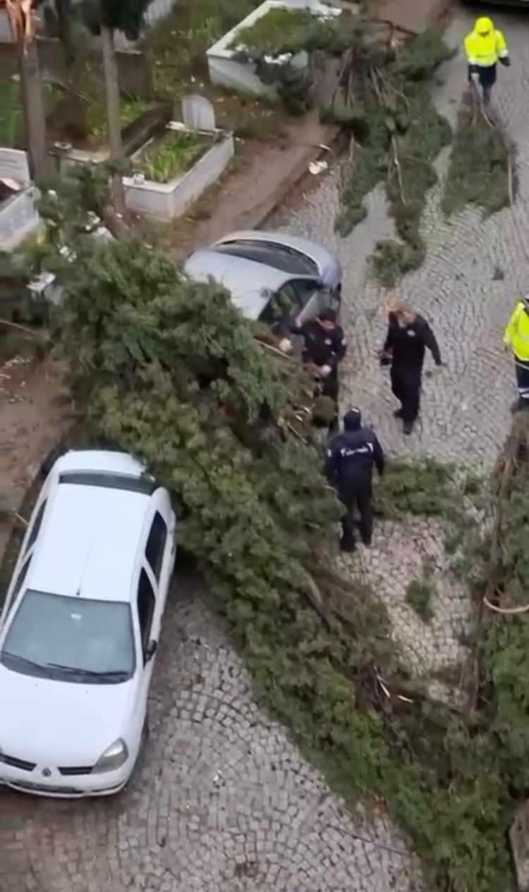 <p>Emirsultan Mezarlığı yanında devrilen ağa&ccedil;lar ara&ccedil;lara zarar verdi. Bir&ccedil;ok noktada da evlerin &ccedil;atıları u&ccedil;arak ara&ccedil;lara ve işyerlerine zarar verdi.</p>
