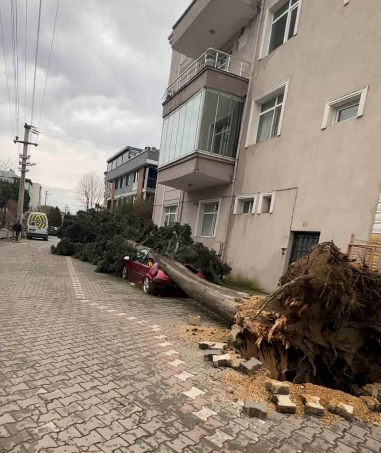 <p><span style="color:#B22222"><strong>YALOVA&nbsp;</strong></span></p>

<p>Yalova'da fırtına hayatı olumsuz etkiliyor. Kent genelinde şiddetli fırtına nedeniyle &ccedil;ok sayıda ağa&ccedil; k&ouml;k&uuml;nden s&ouml;k&uuml;ld&uuml;.</p>

<p>&nbsp;</p>
