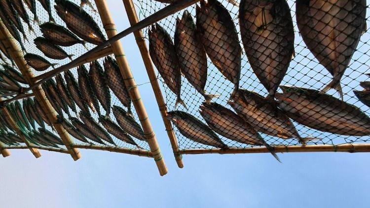 <p><span style="color:inherit">Raf &ouml;mr&uuml; uzun olan besinler doğru koşullarda saklandığında yıllarca g&uuml;venle t&uuml;ketilebilir.</span></p>

<p>&nbsp;</p>
