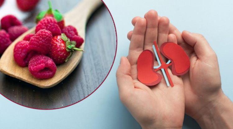 Her lokması koruyucu kalkan: B&ouml;brekleri koruyan en etkili besinler!