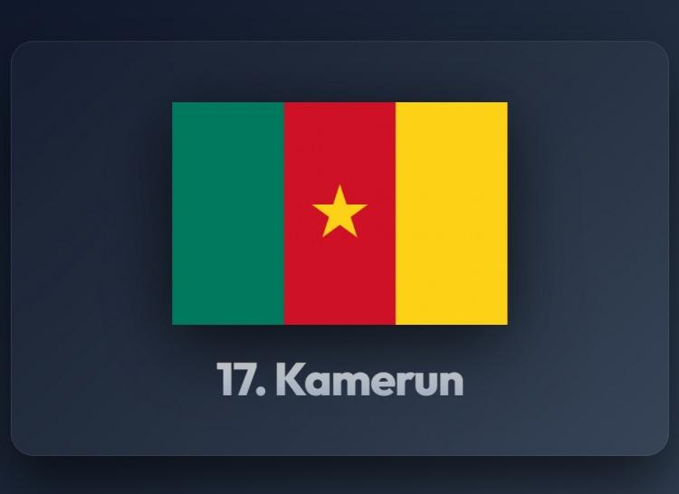 <p><span style="color:#B22222"><strong>17)&nbsp; KAMERUN</strong></span></p>
