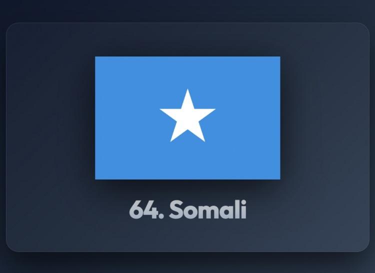 <p><span style="color:#B22222"><strong>64)&nbsp; SOMALİ</strong></span></p>
