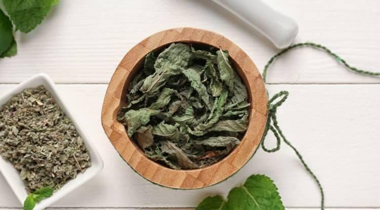 <p><strong>Aynı zamanda sindirim sisteminde g&ouml;rev alan kasların gevşemesine yardımcı olan nane, rahatlatıcı etkisiyle yemek sonrası rahat hissetmeyi sağlıyor.</strong></p>
